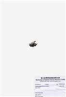 藏品(鈍凹頂藻)的圖片